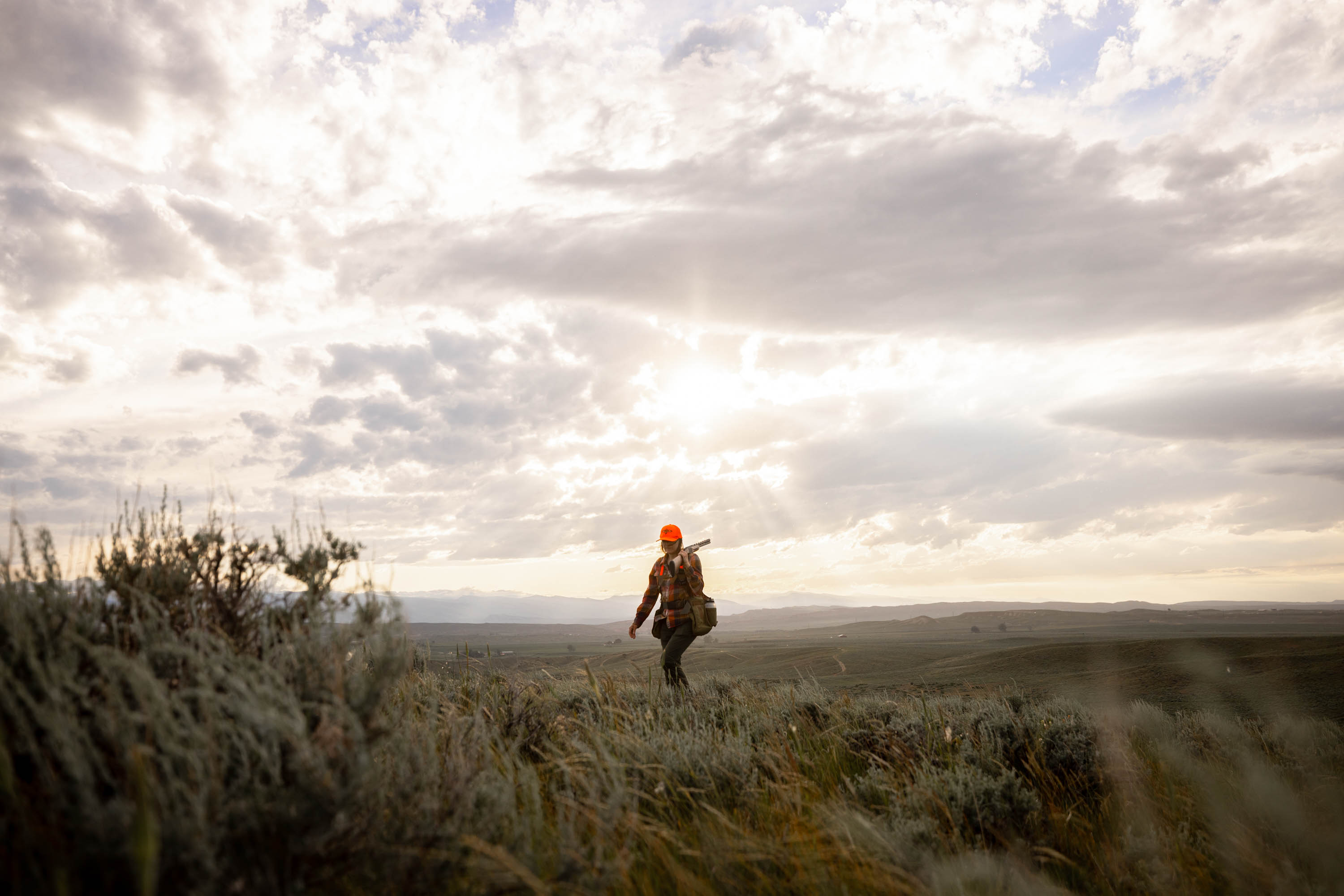 Grouse Hunting Grouse Hunting