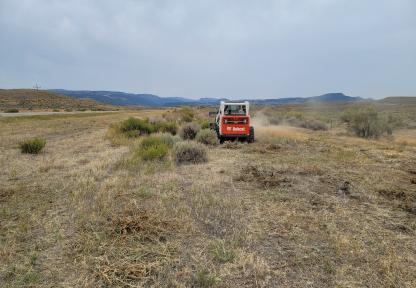 vegetation removal vegetation removal