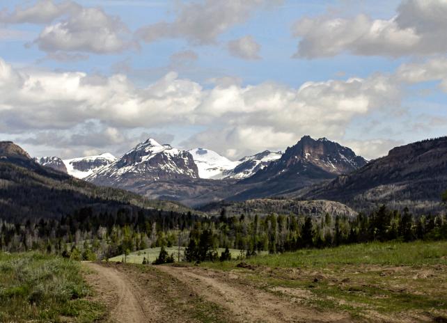 Snowcapped mountains above a forested landscape Snowcapped mountains above a forested landscape