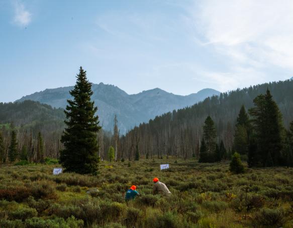 2 Hunters shooting targets in Wyoming Landscape 2 Hunters shooting targets in Wyoming Landscape